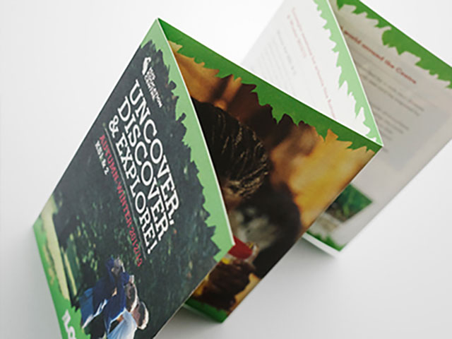 Nexplus Printing Edinburgh Business Cards