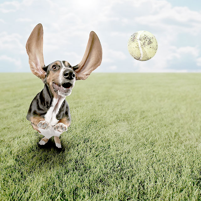 Nexplus Super Cool Websites