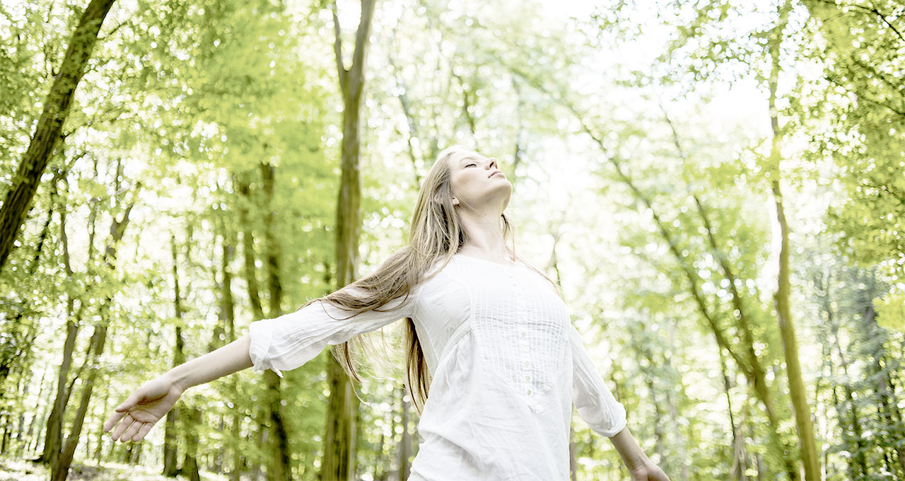 Nexplus Edinburgh Branding