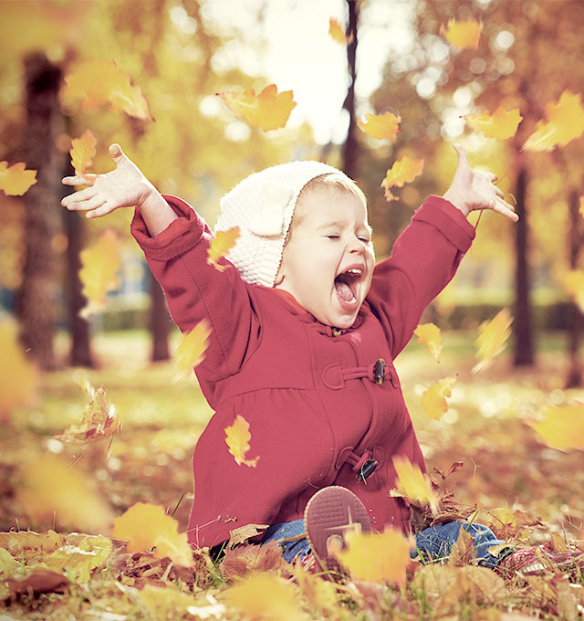 Nexplus Edinburgh Web Design