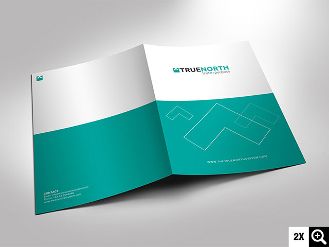 Nexplus Printing Edinburgh Business Cards